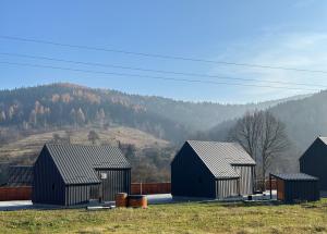 Будинок для відпочинку Tysha house