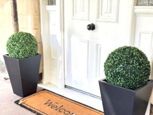 Elegant Country Living - The Homestead by Scotch Hill Truffle Farm