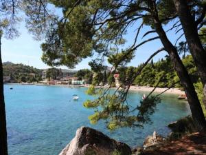 Apartments Villa Mare - Superior Two Bedroom Apartment