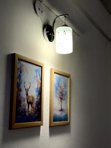 Modern flat in peaceful society