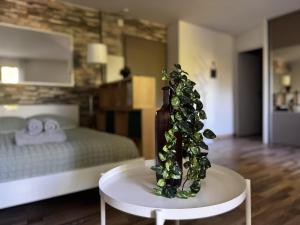 Appartements Le Serenity les pieds dans l-herbe : photos des chambres