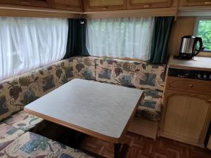 Vanessa - Camp pod kaštany