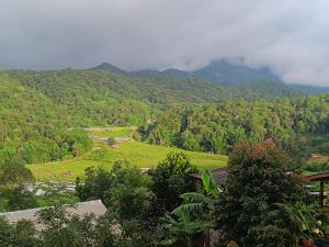 อินทนนท์สุขุมทิพย์ โฮมสเตย์ Inthanonsukhumtiphomestay