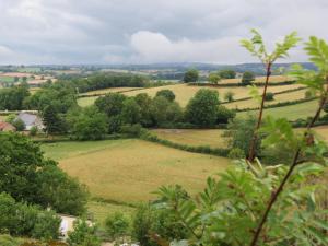 Camping le Faulion