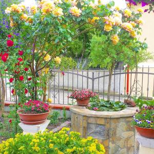 B&b il Giardino da Pina img24