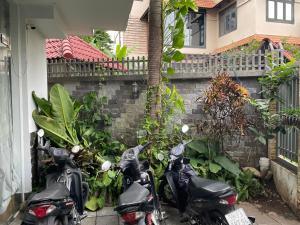 Homestay - HO CHI MINH CITY - Quận 2 - An phú - p1