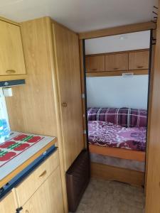 František - Camp pod kaštany