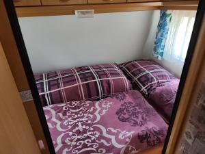 František - Camp pod kaštany