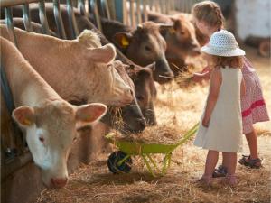 Ferienhof Hardthöhe - Bauern- & Reiterhof