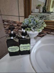 The Nouveaux de Parts -Main House