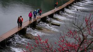 Fenghuang Ancient Town Persimmon Courtyard B&B
