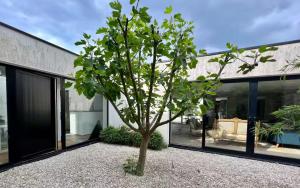 Maison d'architecte lumineuse Stade Pierre Mauroy