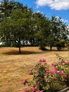 Appartements Le Groupe des Huards au coeur du Val de Loire : photos des chambres