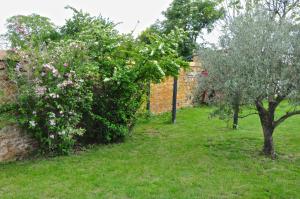 B&B / Chambres d'hotes Le Clos du Cher en Beaujolais : photos des chambres