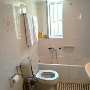 Sunlit and cosy apartment