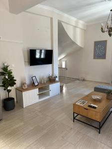Vaporia Apartment Syros