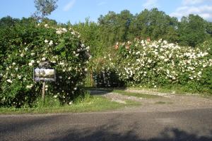 Sejours chez l'habitant Gite Au Jardin : photos des chambres