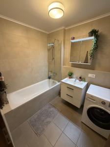 The Elite Suite IV downtown apartment AC & garage parking