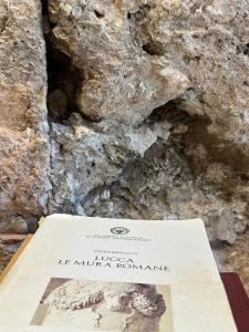 Corso131-Dimora Storica nel Centro Storico