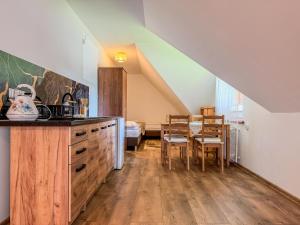 Willa Konda - bania , sauna