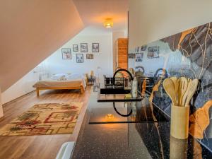 Willa Konda - bania , sauna