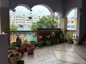 Natures Nest Homestay Tirupati close to Sri Padmavathi Ammavari Temple Tiruchanur close to toll road connectinghighways just behind Taj Tirupati and easy access to Garuda fly-over to Tirumala