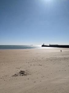 42m overlooking the pine forest and near the sea