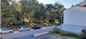 42m overlooking the pine forest and near the sea