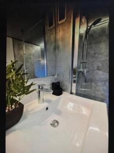 Appartements Duplex,centre Croix Rousse avec parking : photos des chambres