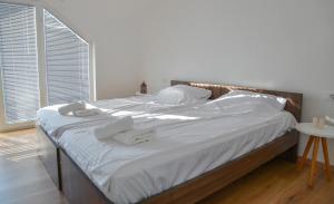 Light Loft Apartment Ohrid