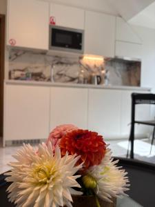 Nummer 151 villastudios