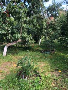 Номер з кондиціонером