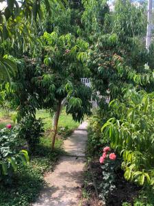 Номер з кондиціонером