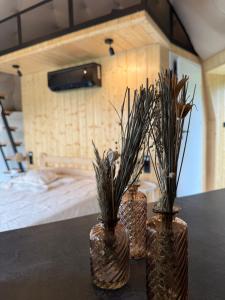 Tatra Glam Krynica Zdrój - Sieć noclegowa Tatra Glamp