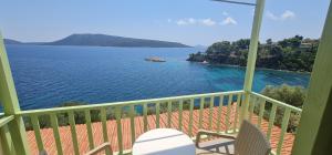 Odyssia near the Seaside