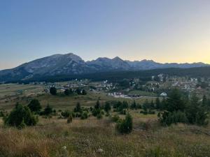 VM Apartments Zabljak