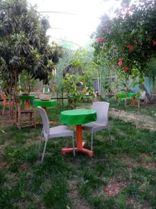 Ecogite La Tourterelle - Guesthouse