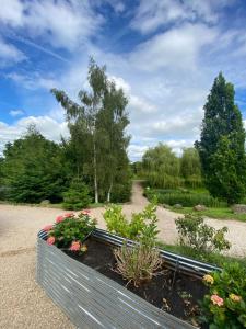 STARGAZER adult only