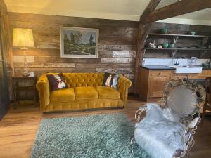 STARGAZER adult only