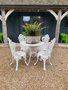 STARGAZER adult only