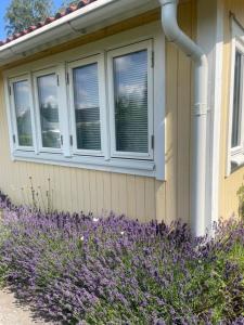 Charmig Villa bredvid sjön Örlen