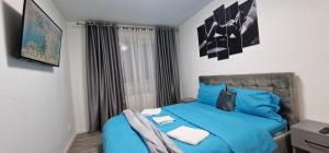 Claudiu apartament,s 17