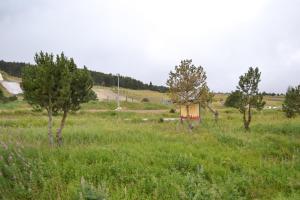 Appartements GITE AU PIED PISTES LA QUILLANE : photos des chambres