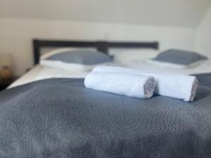 Csató Panzió - Pensiunea Csató