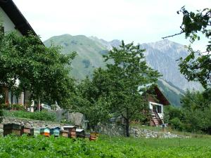 Chalets Chalet Dibona : photos des chambres