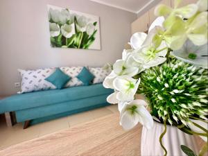 Jasmine - Menada Apartments