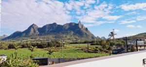 Gracious Haven - Fully Equipped Rooftop with private terrace house in Saint-Pierre, Moka