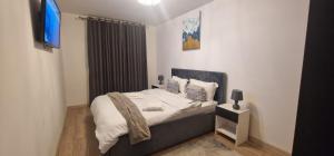 Daniela apartaments 17