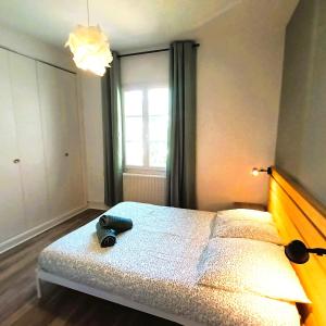 Appartements L-Oasis-T2 spacieux-Wifi-TV-Proche Gare : photos des chambres