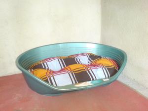 ХОТЕЛ за кучета Киноложки център СТИФ